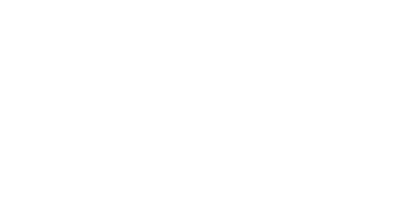 FRAM BUSINESS